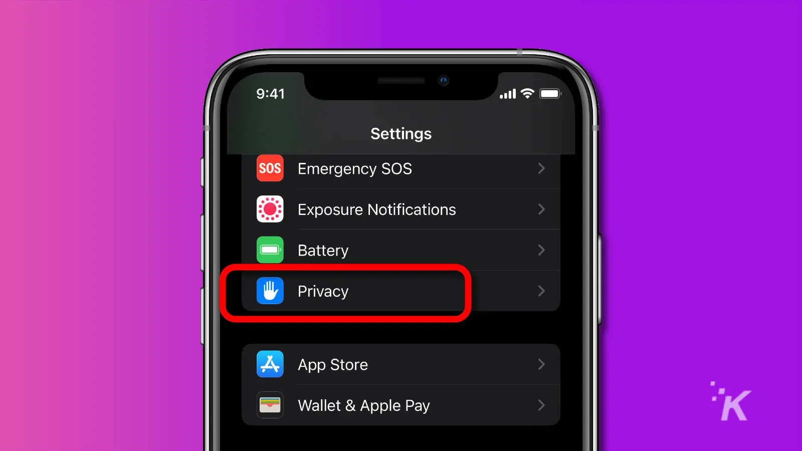 Screenshot of ios settings showing the privacy menu link