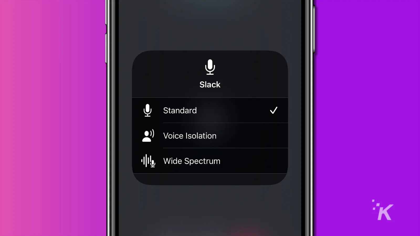 screenshot of iphone showing the voice isolation option