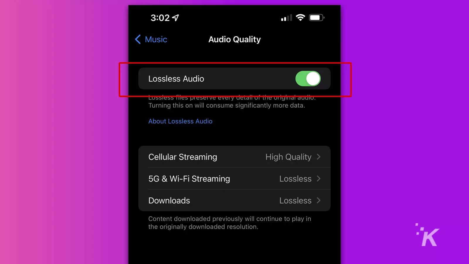 lossless audio toggle in settings menu