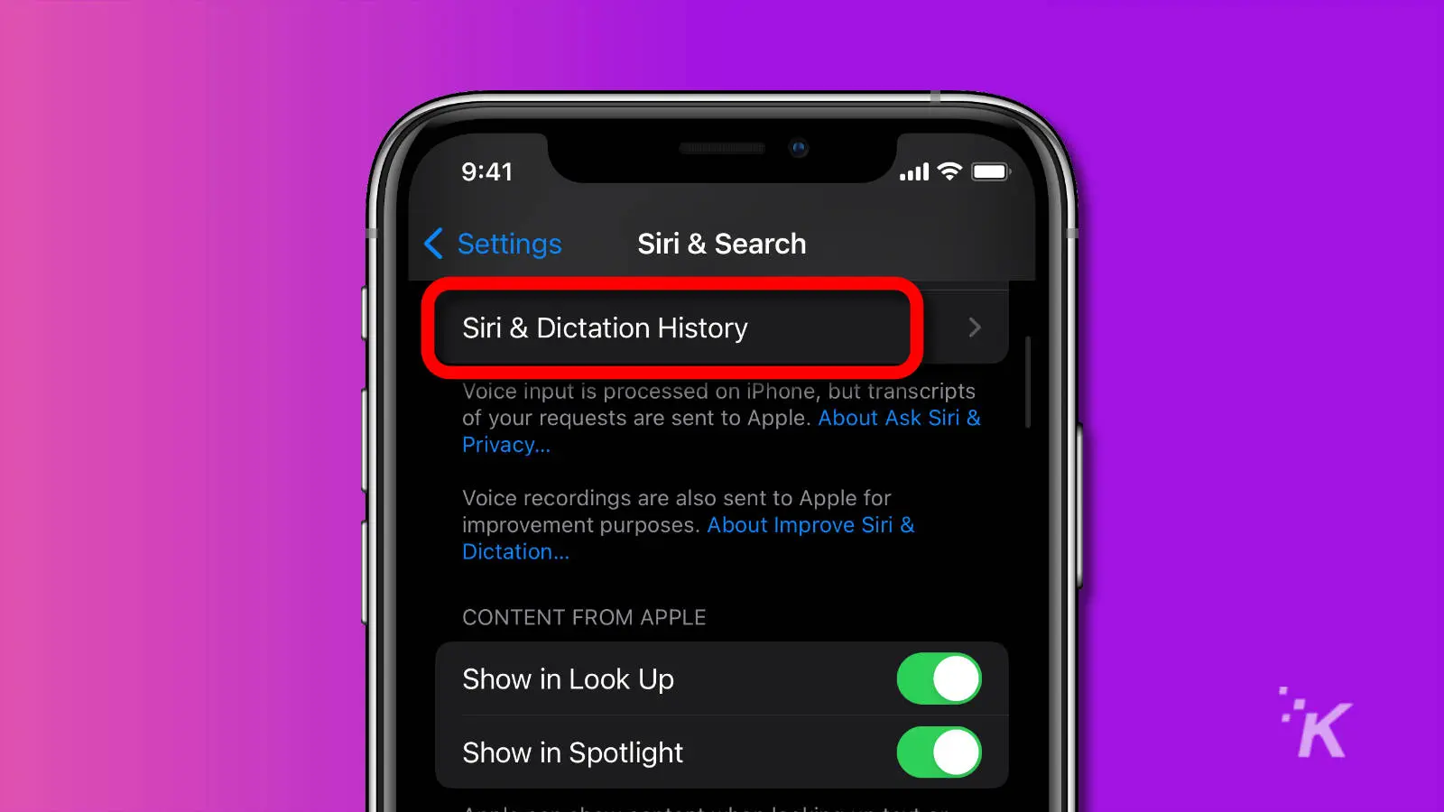 Screenshot of siri and dictation history location