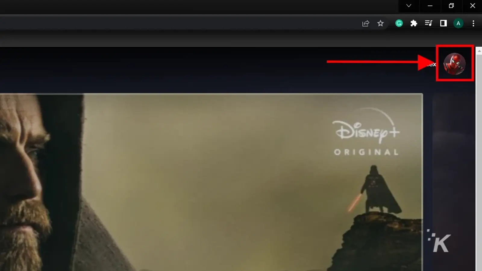 Disney plus profile picture