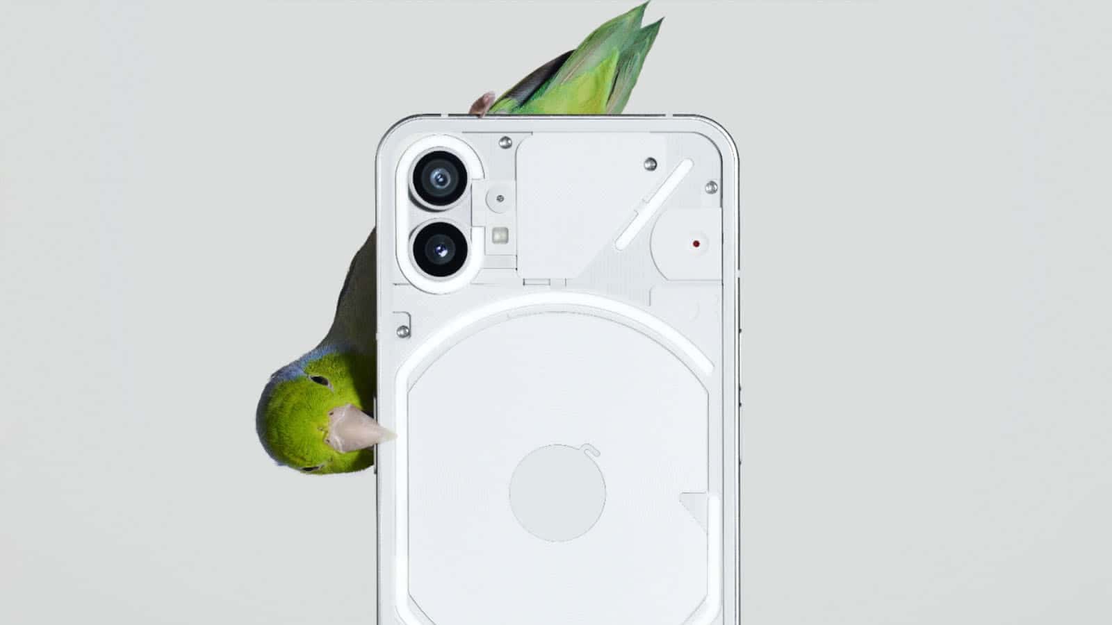 nothing phone 1 with parrot perched on it