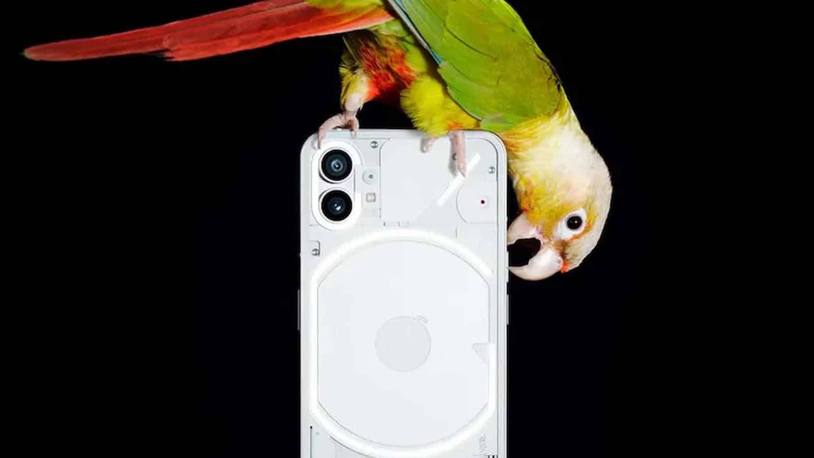 nothing phone 1 smartphone with a parrot perching on top