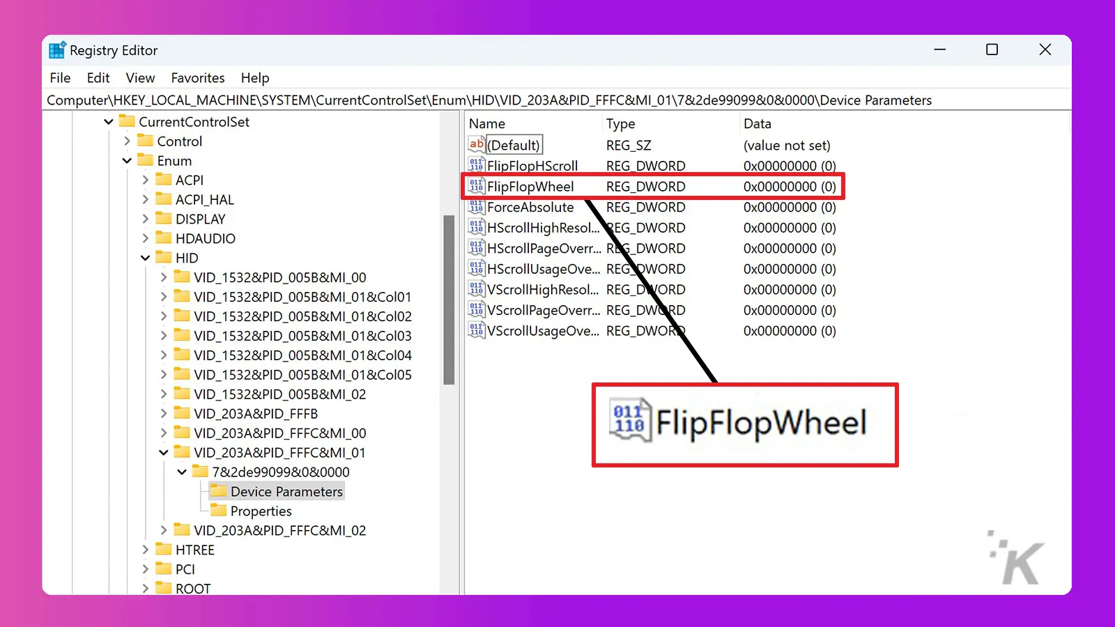 Windows regedit device parameter