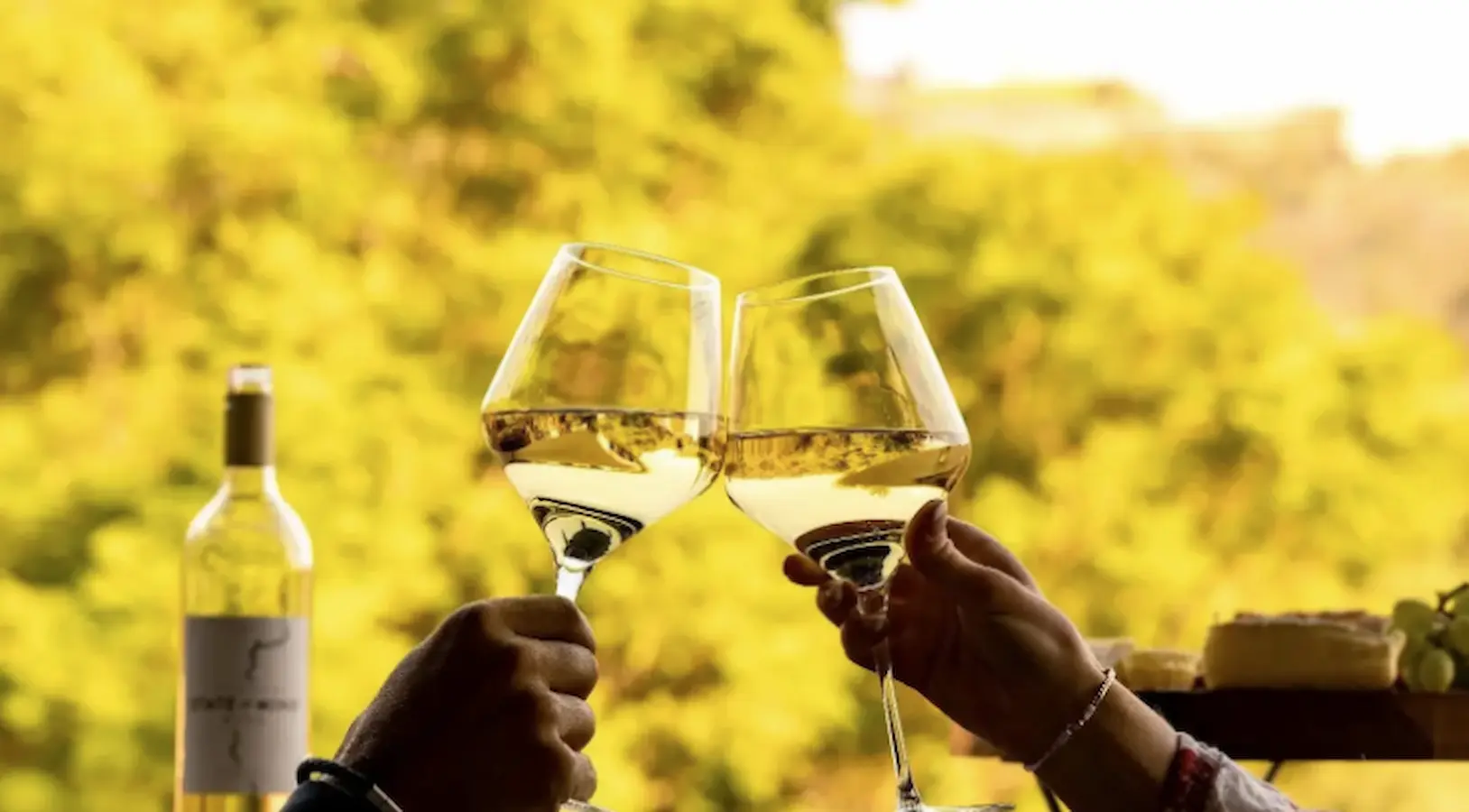 two glasses of wine