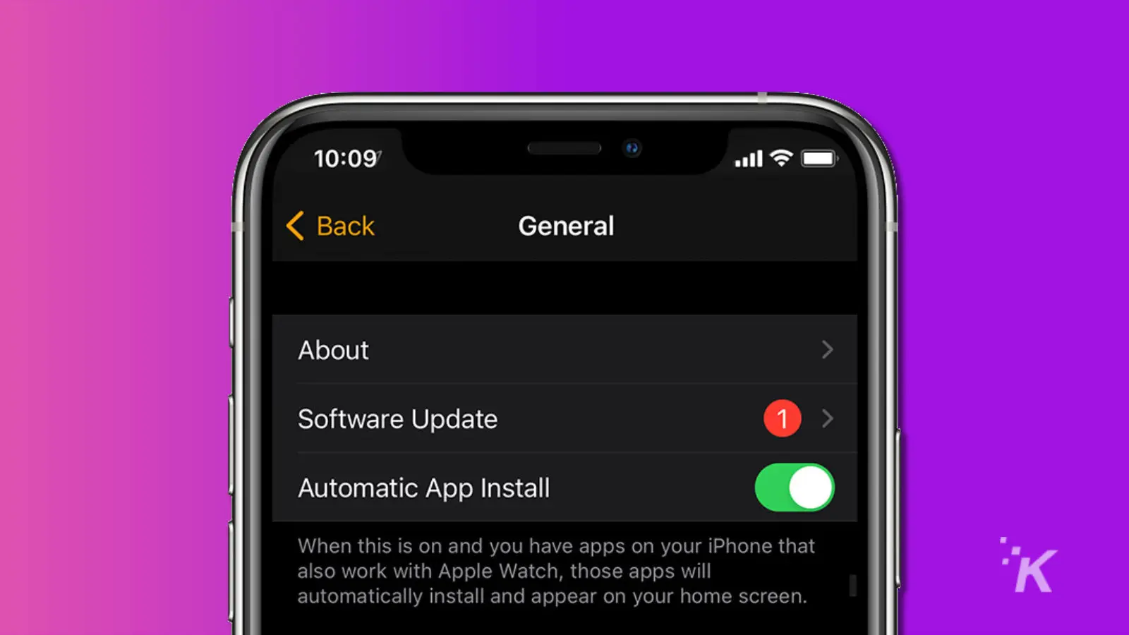 screenshot of apple watch software update menu