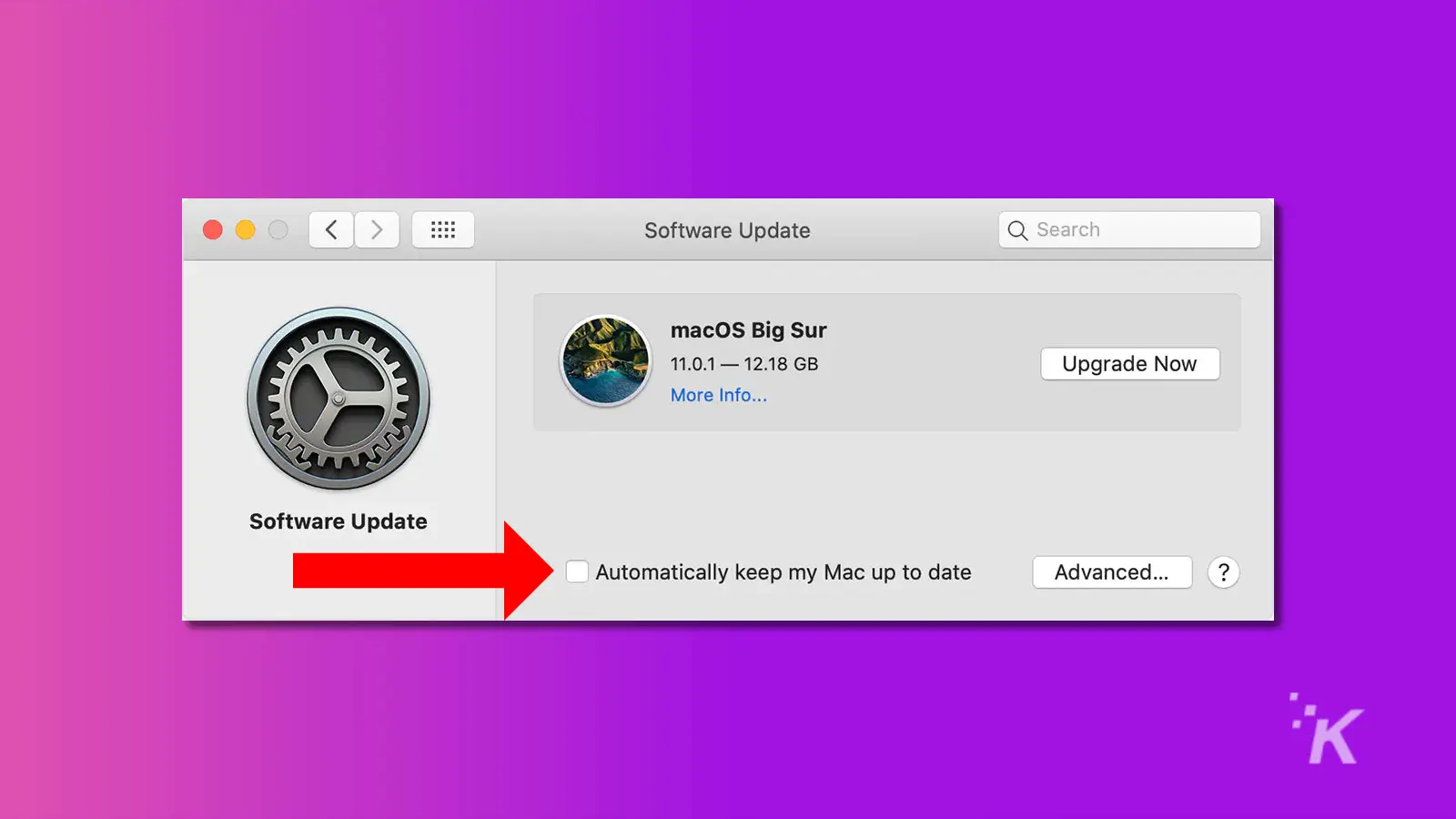 Screenshot of mac software update with an arrow pointing to the automatic updates checkbox