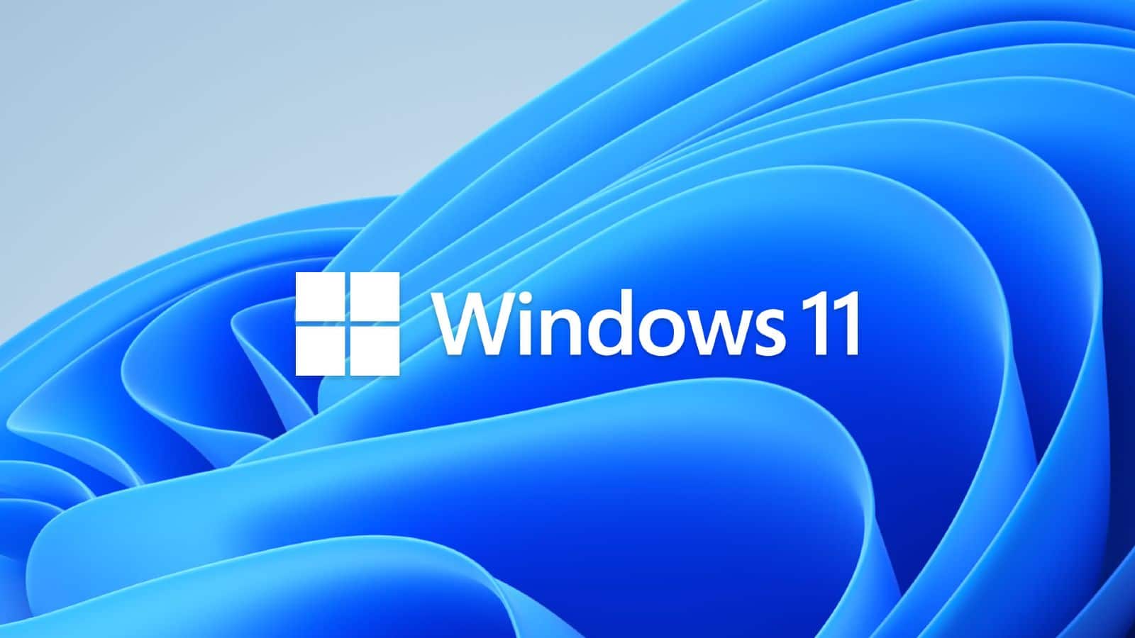 Windows 11 logo