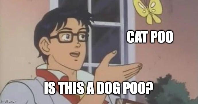 facebook group arguing about cat and dog poop