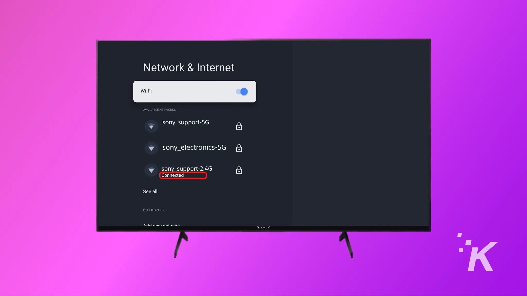 Home network connected status screen