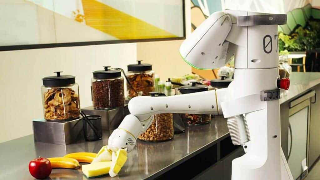 Tired of cooking, cleaning and other household chores? Robot servants are  coming