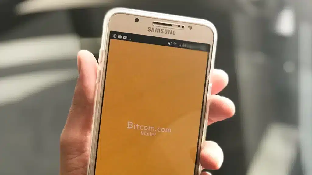 person holding a phone with Bitcoin wallet on screen