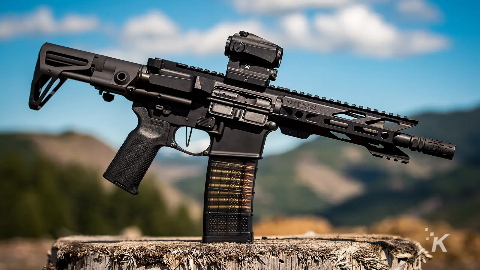 gun on top of a tree stump
