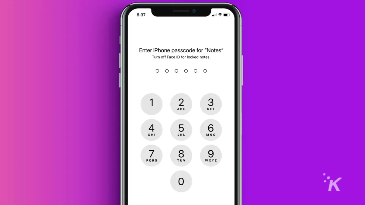 iPhone passcode screen for notes in purple background