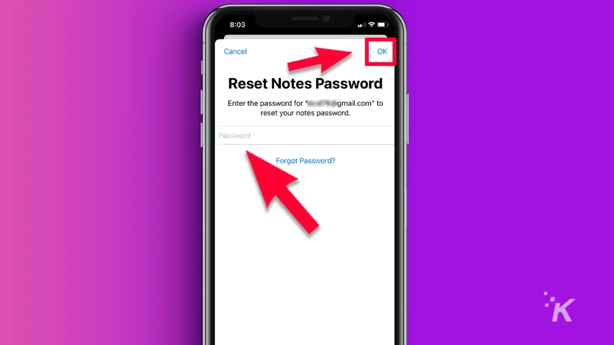 iPhone notes reset password screen with arrows pointing to password and the ok tab in purple background