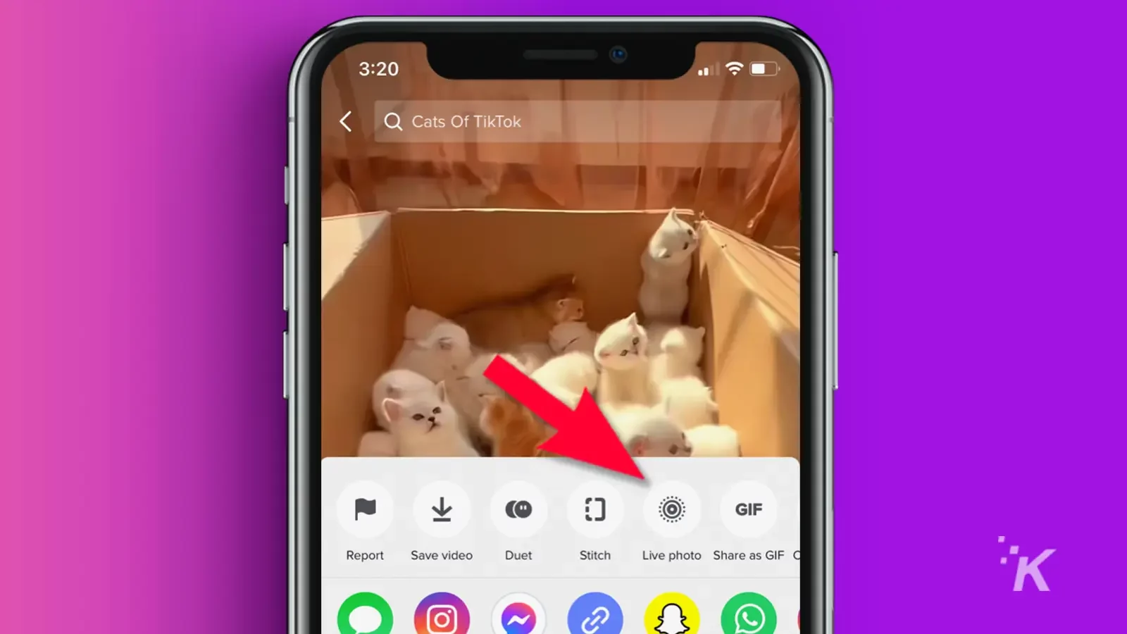 TikTok on iPhone with arrow pointing to live photo