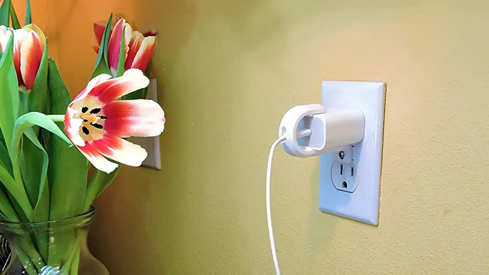 Lock Socket in wall with flowers