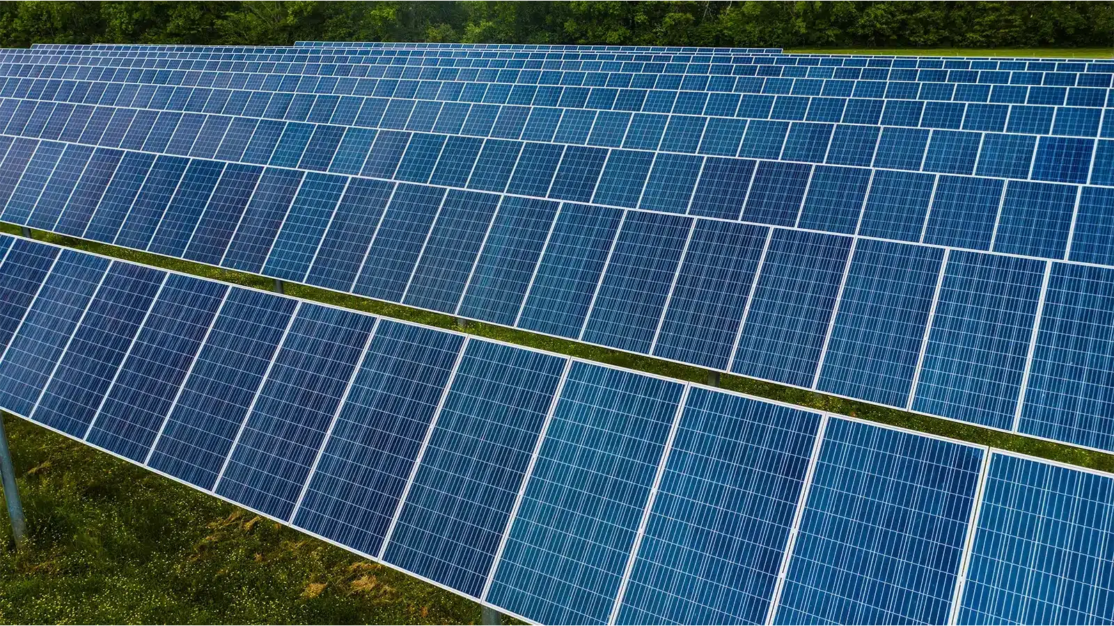 commercial solar panels in a field