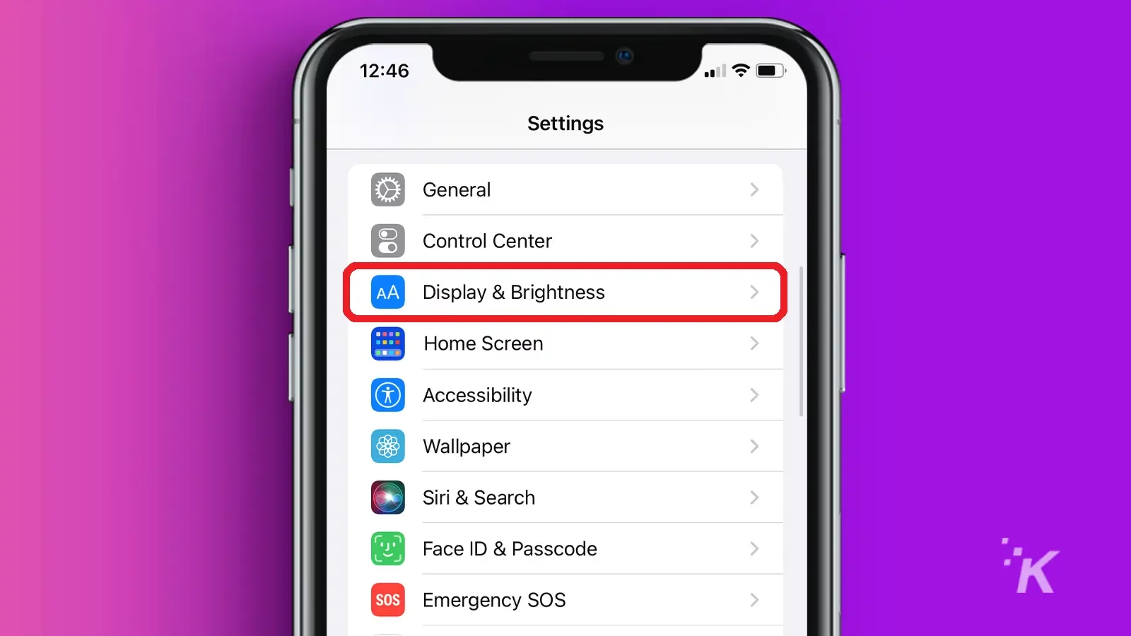 Iphone screen showing display & brightness circled in red in purple background