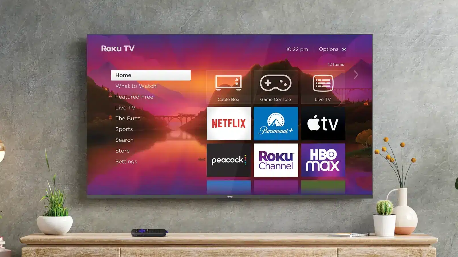 roku prototype tv on the wall