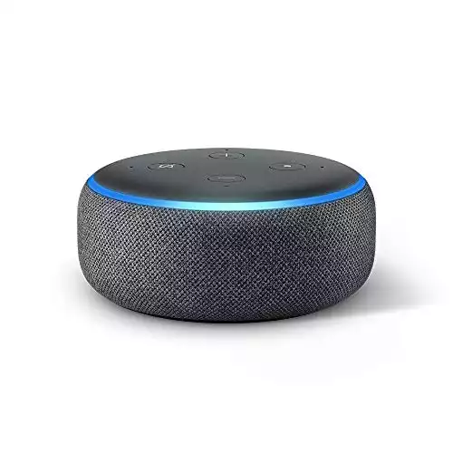 Echo dot 2024 in stock