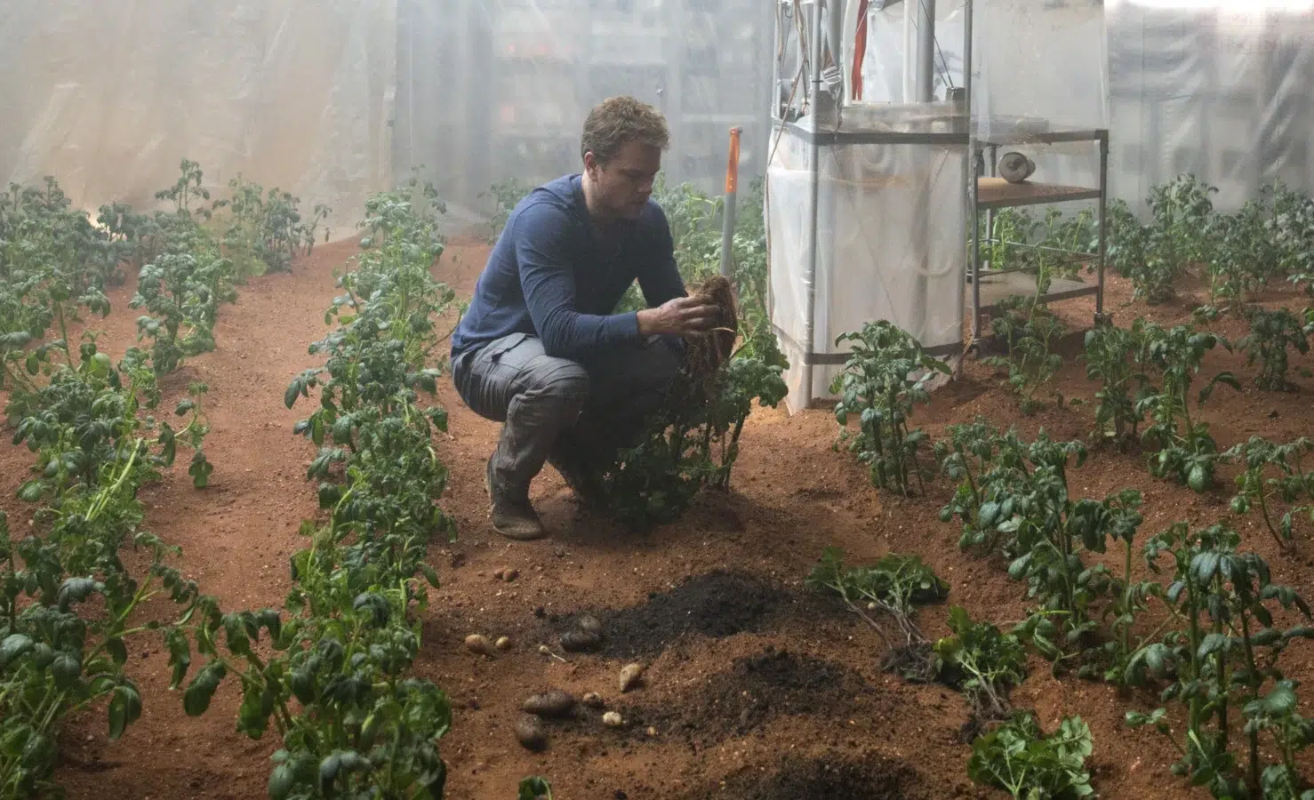 Matt Damon grows potatoes in the Martian 