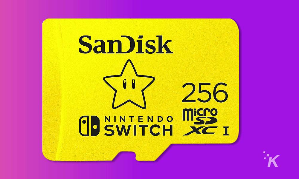 SanDisk 256GB SD card