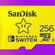 SanDisk 256GB SD card