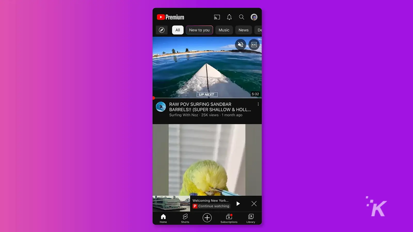 YouTube premium on mobile device with a video of a surfer and a bird