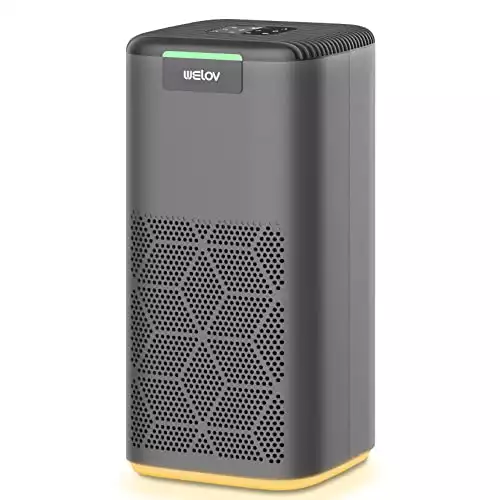 WELOV P200S Air Purifier