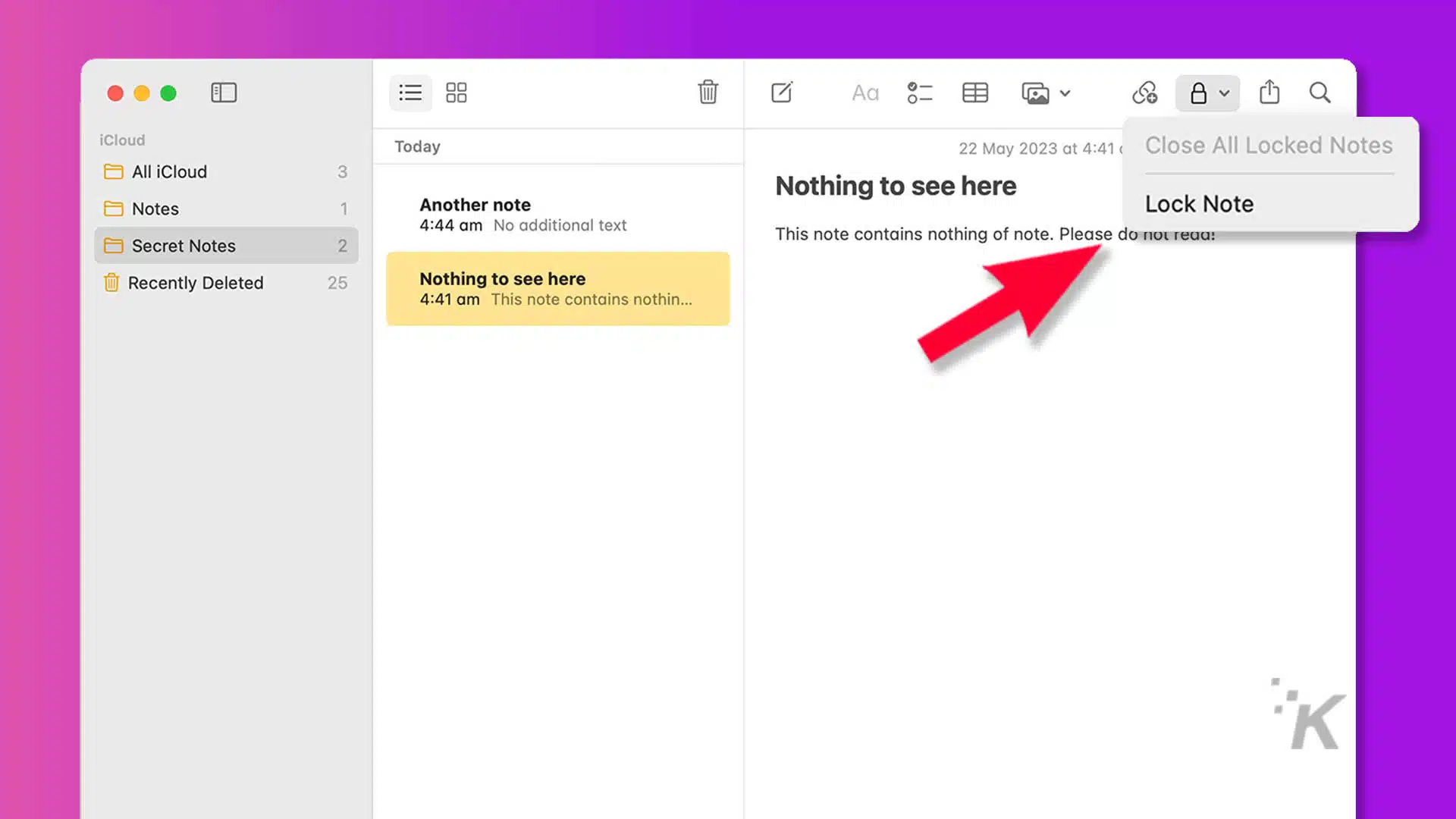 This image shows a list of notes with timestamps, some of which are locked and some of which have recently been deleted. Full Text: : 88 8 BV 1 Q iCloud Today 22 May 2023 at 4:41 ( Close All Locked Notes All iCloud 3 Nothing to see here Notes 1 Another note Lock Note 4:44 No additional text Secret Notes 2 This note contains nothing of note. Please do notread! Recently Deleted 25 Nothing to see here 4:41 This note contains nothin ...