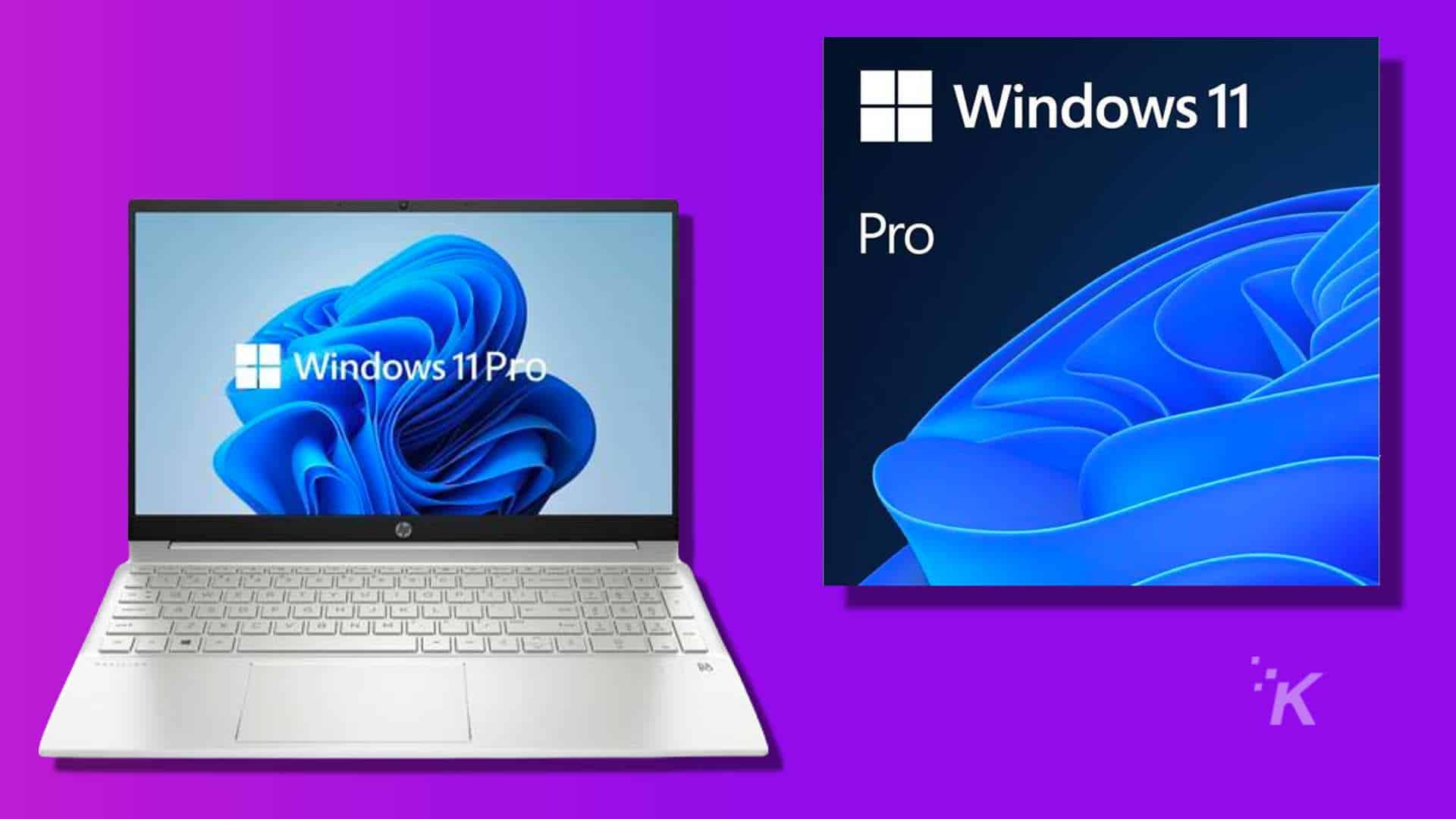 notebook windows 11 pro hp