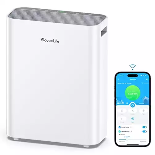 Govee life smart air purifier