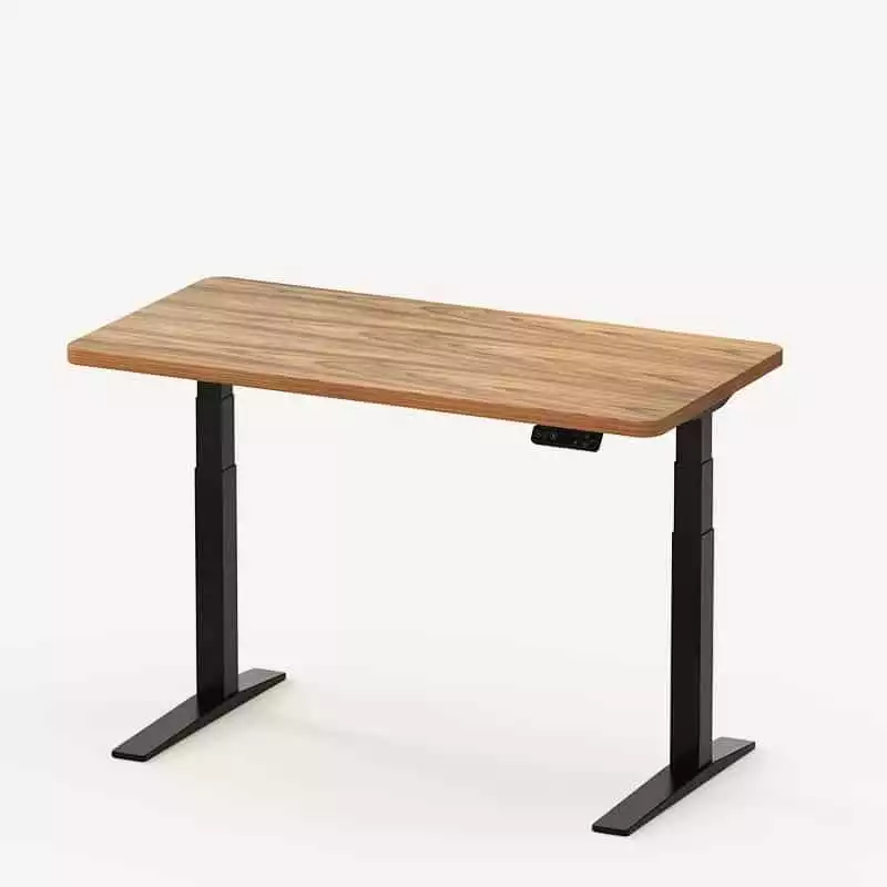 Flexispot standing desk