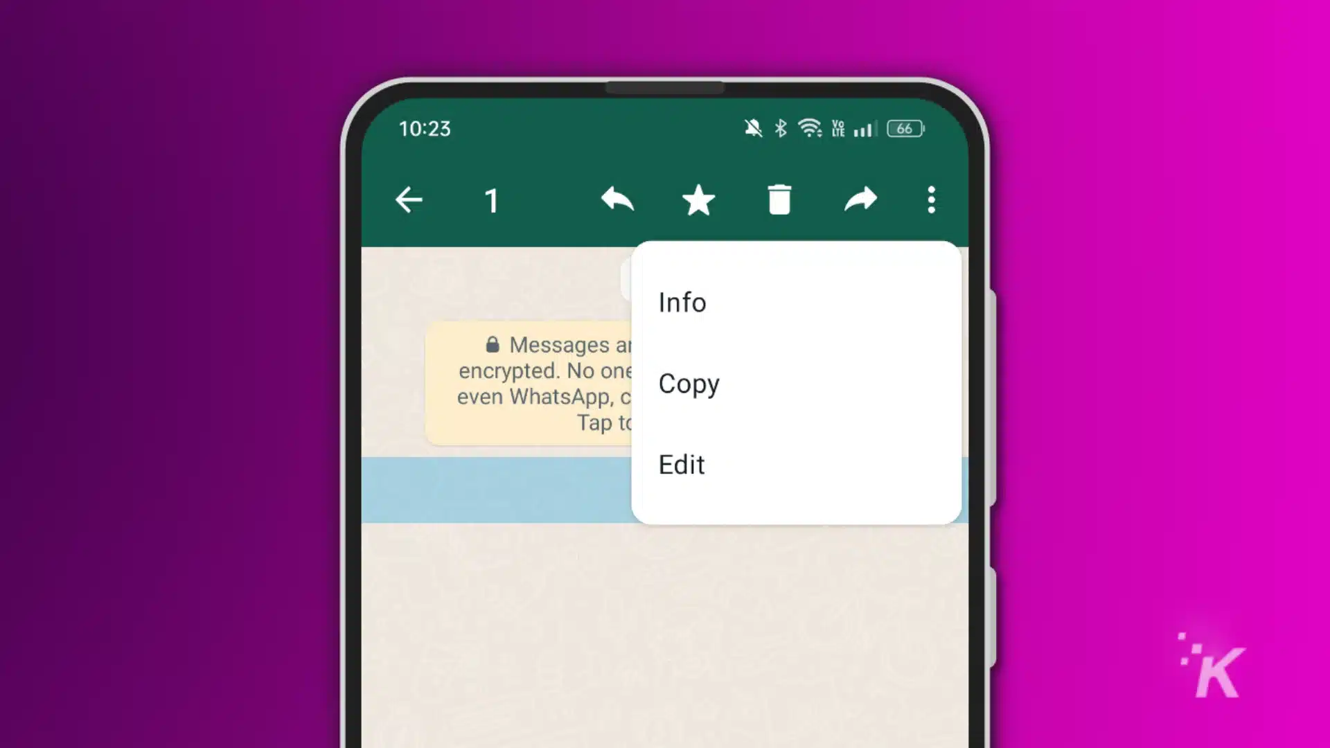 Screenshot of whatsapp messenger showing the in-message settings menu