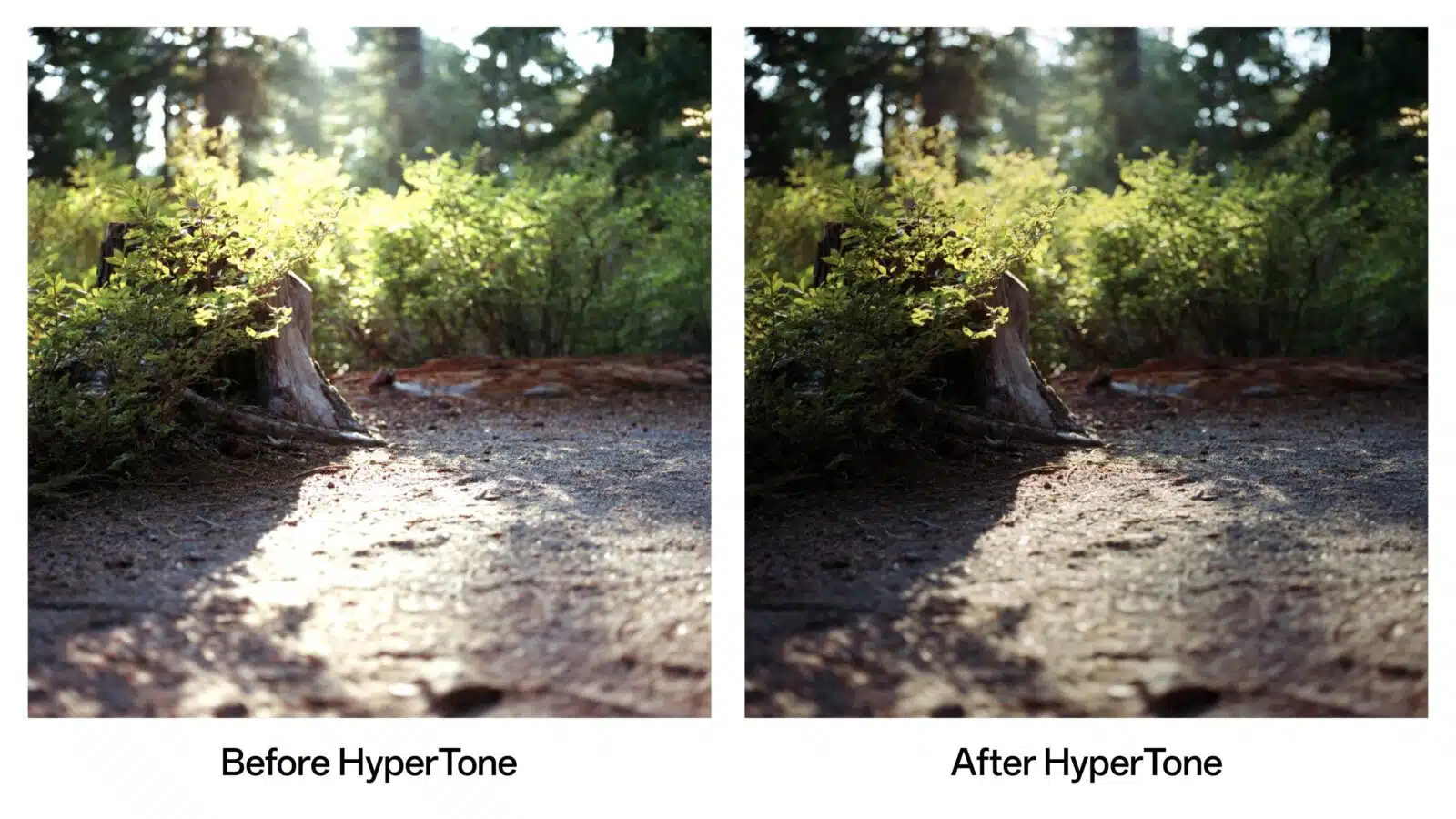 OPPO HyperTone camera samples compared