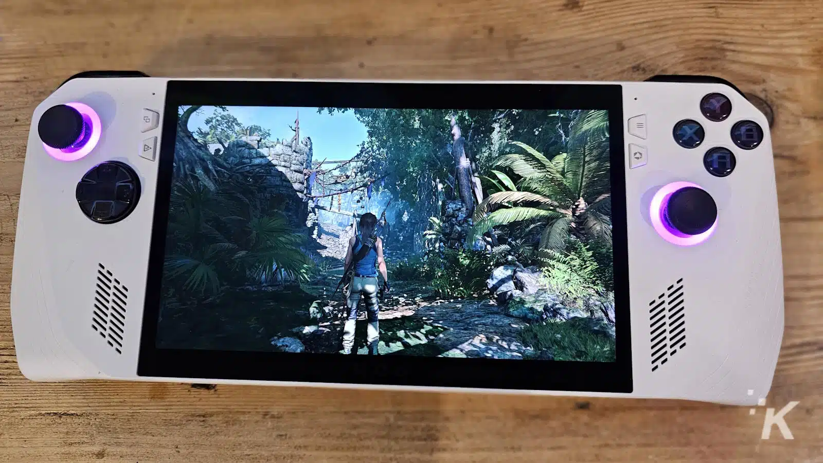 Asus ROG Ally playing Tomb Raider