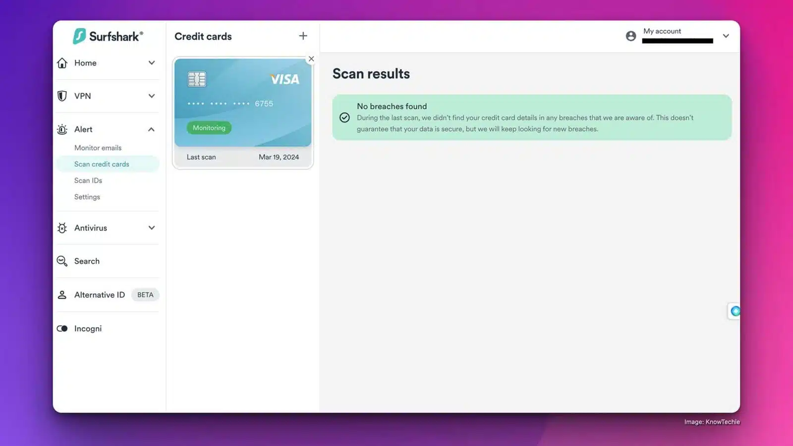 Surfshark One VPN credit card protection