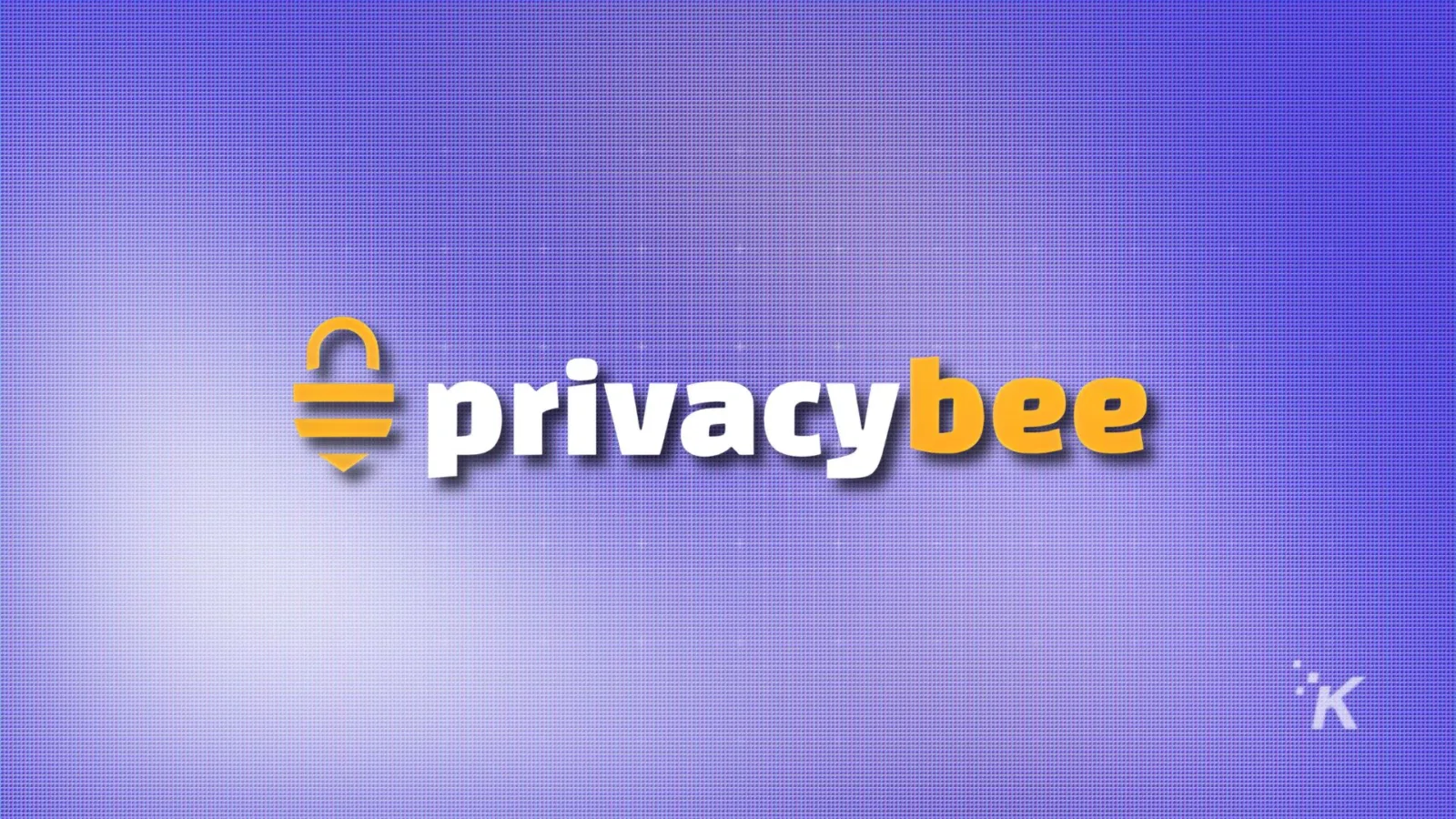 Privacybee logo with lightbulb graphic on purple background.