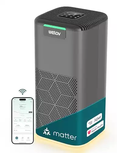 WELOV Matter Ready Smart Air Purifier