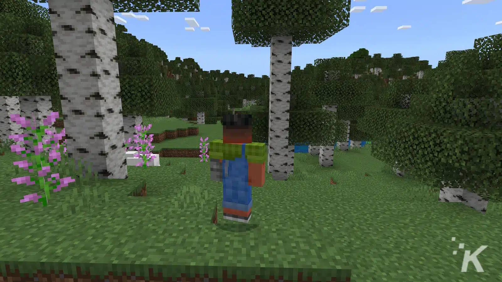 Minecraft landscape with character and birch trees.