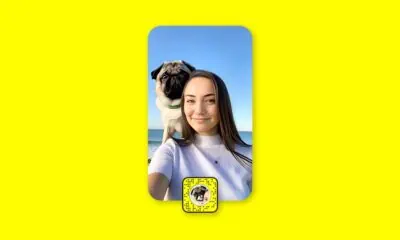 Woman and pug taking selfie at the beach