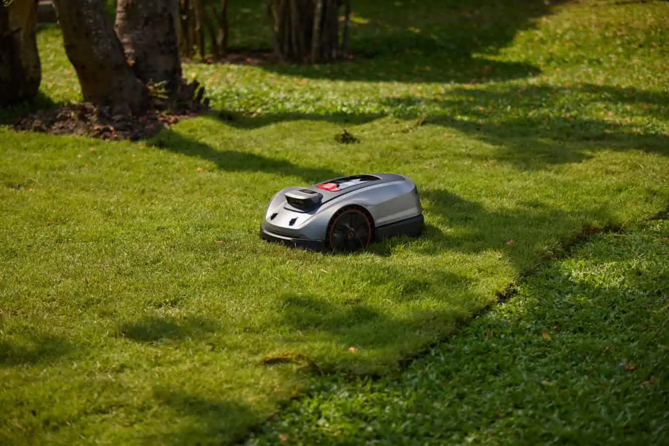 Automated lawn mower cuts grass in yard
