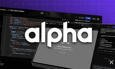 Alpha app interface showcasing coding features.