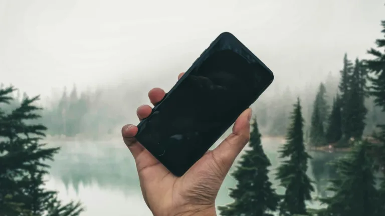 Hand holding smartphone by misty forest lake.