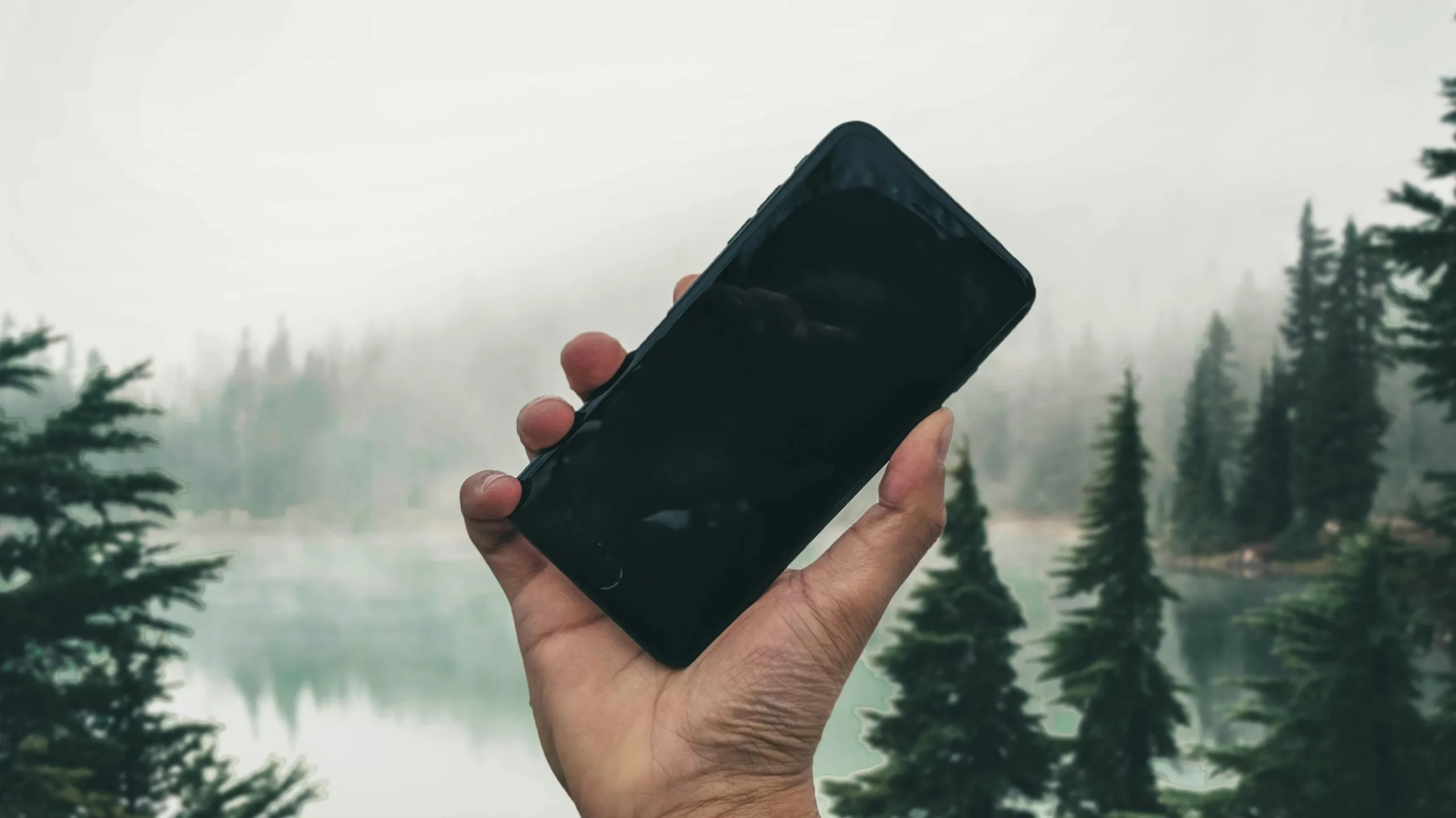 Hand holding smartphone by misty forest lake.