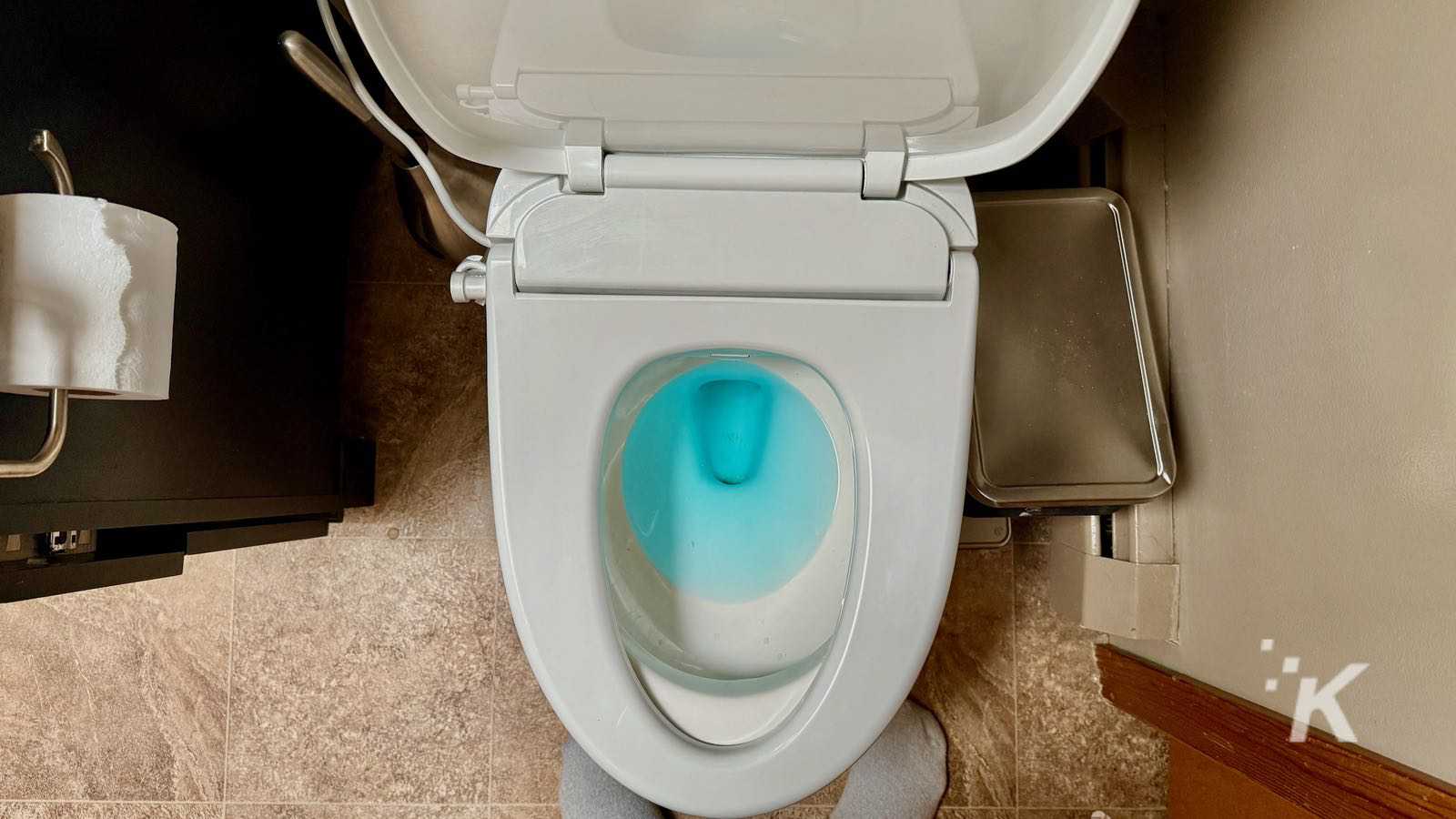 A clean white toilet with a blue cleaning solution in the bowl, positioned in a bathroom next to a wall and a paper towel holder.