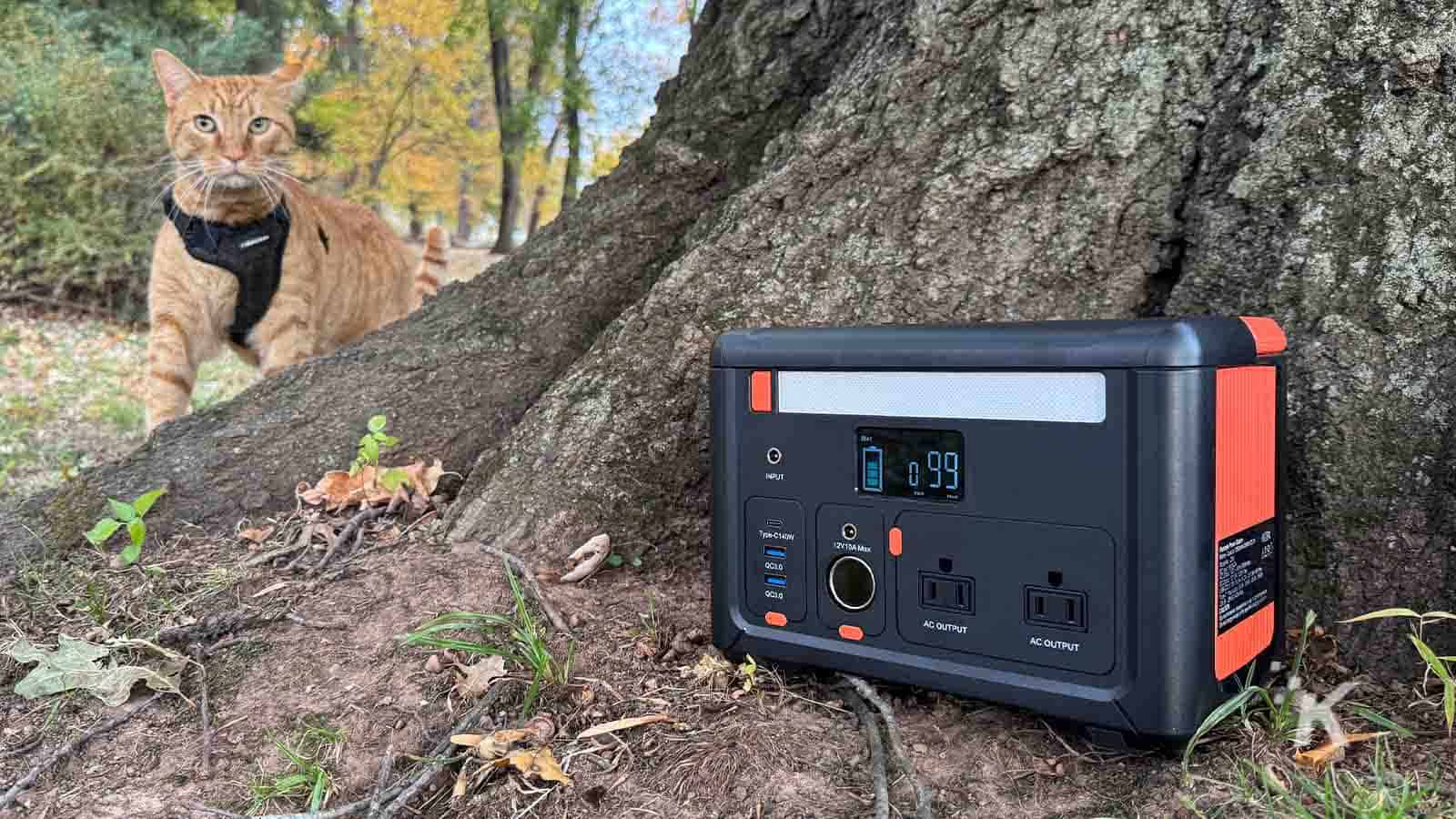 Portable power station and cat outdoors by tree.