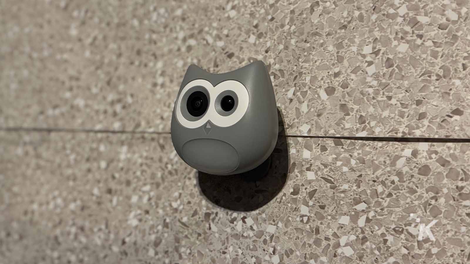 Owl-shaped security camera on a wall