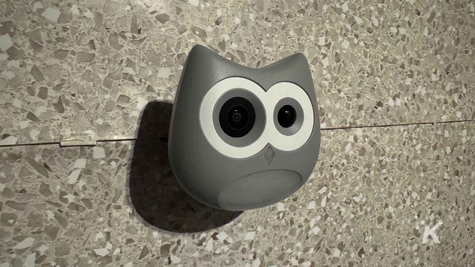 Owl-shaped security camera on a wall